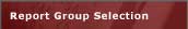 Report Group Selection